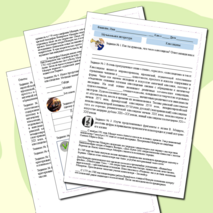 Рабочий лист 