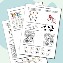 Коррекционно-развивающее занятие «Зимующие птицы. Птицы Прибайкалья»