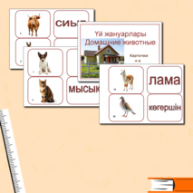 Карточки 