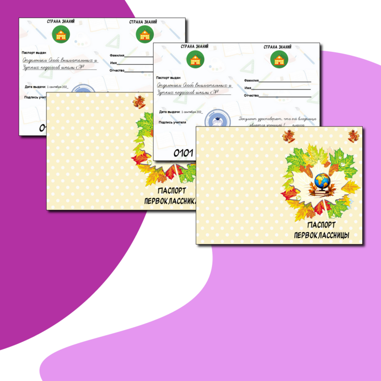 Паспорт первоклассника