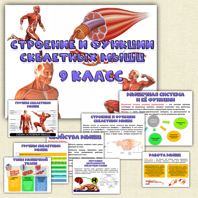 Clomed ��������� �������: ����.