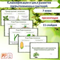 Презентация «Классификация и цикл развития покрытосеменных растений», 7 класс