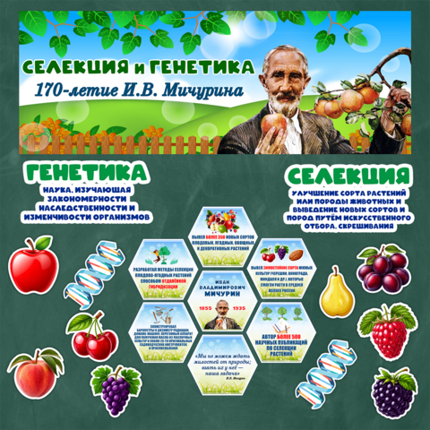 Оформление «Селекция и генетика. К 170-летию И.В. Мичурина». Разговоры о важном. 10 ноября