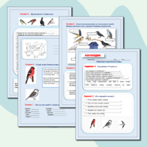 Рабочий лист к логопедическому занятию по развитию речи на тему: «Перелётные и зимующие птицы».