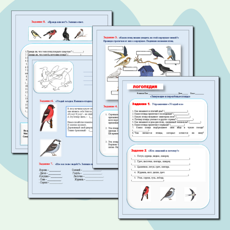 Рабочий лист к логопедическому занятию по развитию речи на тему: «Перелётные и зимующие птицы».