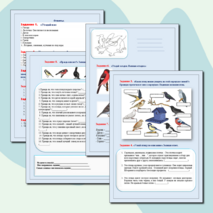 Рабочий лист к логопедическому занятию по развитию речи на тему: «Перелётные и зимующие птицы».