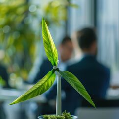 Обложка курса 'Экологический менеджмент'