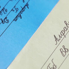 Обложка курса 'Особенности подготовки к проведению ВПР в рамках мониторинга качества образования обучающихся по учебному предмету "Русский язык" в условиях реализации ФГОС НОО'