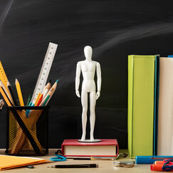 Обложка курса 'Обществознание: теория и методика преподавания в образовательной организации'