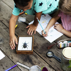 Обложка курса 'Организация и руководство учебно-исследовательскими проектами учащихся по предмету «Биология» в рамках реализации ФГОС'