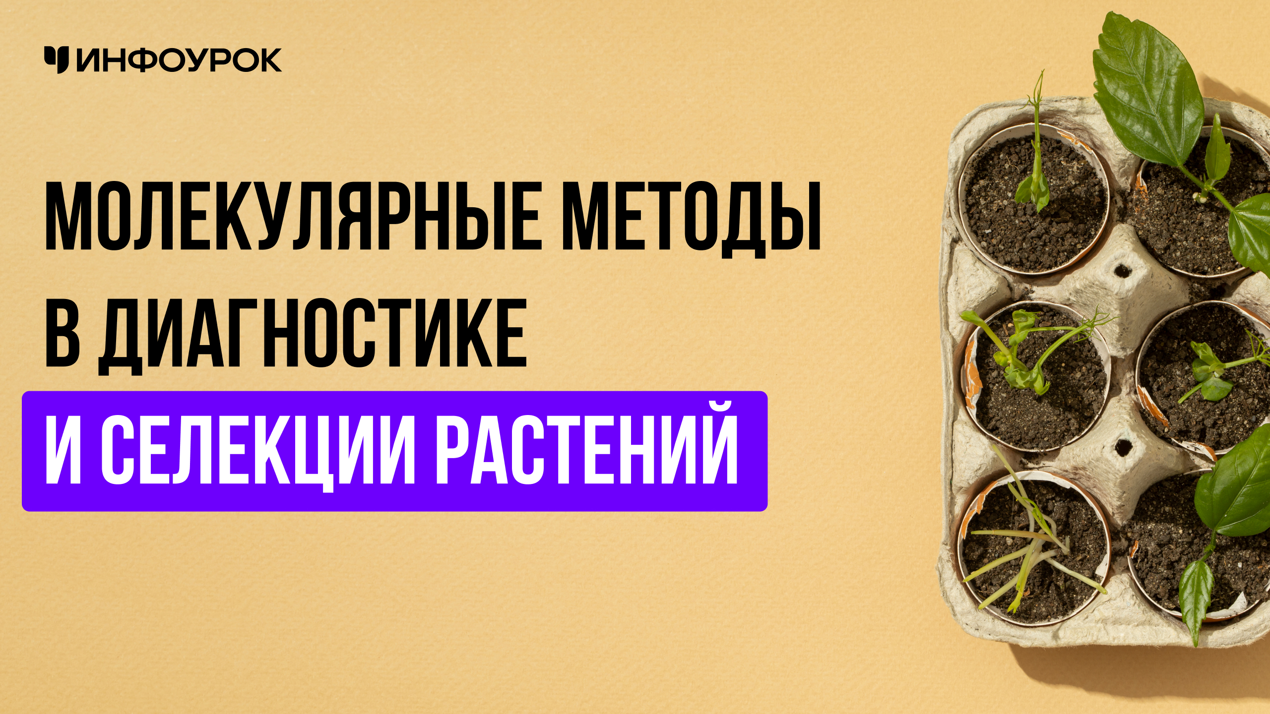 Обложка курса