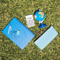 Обложка курса 'Основы предмета «Экология» в соответствии с требованиями ФГОС СОО'