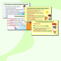 Презентация «Домашние питомцы. Всемирный день питомца».