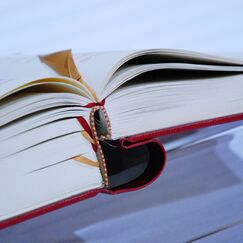 Обложка курса 'Литературные пути: от биографий к жанрам'