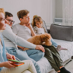 Обложка курса 'Психологическое консультирование семей: от неблагополучия к гармонии'