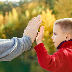 Обложка курса 'Привязанность и воспитание'