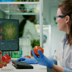 Обложка курса 'Основные процессы и технологии сульфитации овощей и фруктов'