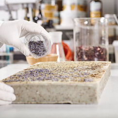 Обложка курса 'Технологический процесс получения сычужного порошка и пищевого пепсина'