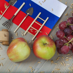 Обложка курса 'Сохранение и продвижение традиционных российских ценностей и культуры'