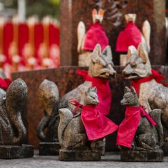 Обложка курса 'Традиционная культура Китая'