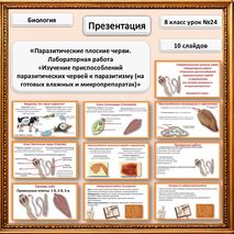 Паразитические плоские черви