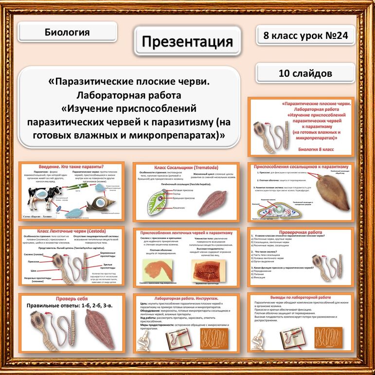 Паразитические плоские черви