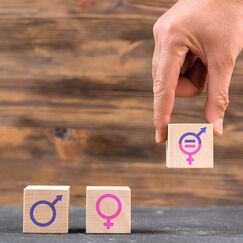 Обложка курса 'Ключевые концепции гендерной психологии'