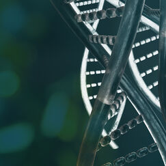 Обложка курса 'Генетика и биотехнология в СОО'