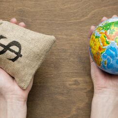 Обложка курса 'Развитие мирового хозяйства и международных валютных отношений'