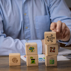 Обложка курса 'Устойчивое развитие и управление рисками в современном бизнесе'