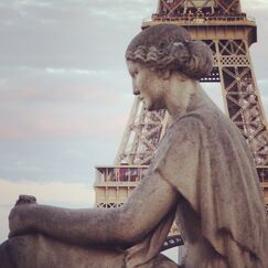 Обложка курса 'Шедевры французского романа XIX века: «Мадам Бовари» и «Собор Парижской Богоматери»'