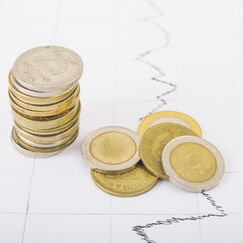 Обложка курса 'Таргетирование в денежно-кредитной политике: валютный курс и инфляция'