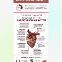diseases-of-the-cardiovascular-system