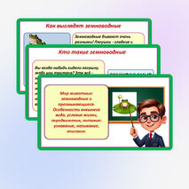 Презентация «Мир животных: земноводные и пресмыкающиеся. Особенности внешнего вида, условия жизни, передвижения, питания: узнавание, называние, описание». 2 класс