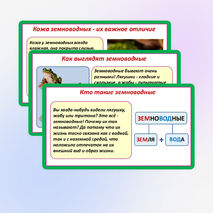 Презентация «Мир животных: земноводные и пресмыкающиеся. Особенности внешнего вида, условия жизни, передвижения, питания: узнавание, называние, описание». 2 класс