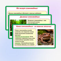 Презентация «Мир животных: земноводные и пресмыкающиеся. Особенности внешнего вида, условия жизни, передвижения, питания: узнавание, называние, описание». 2 класс