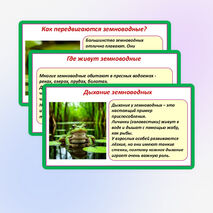 Презентация «Мир животных: земноводные и пресмыкающиеся. Особенности внешнего вида, условия жизни, передвижения, питания: узнавание, называние, описание». 2 класс