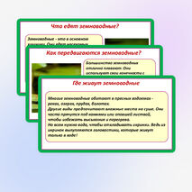 Презентация «Мир животных: земноводные и пресмыкающиеся. Особенности внешнего вида, условия жизни, передвижения, питания: узнавание, называние, описание». 2 класс