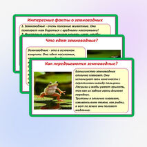 Презентация «Мир животных: земноводные и пресмыкающиеся. Особенности внешнего вида, условия жизни, передвижения, питания: узнавание, называние, описание». 2 класс