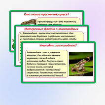 Презентация «Мир животных: земноводные и пресмыкающиеся. Особенности внешнего вида, условия жизни, передвижения, питания: узнавание, называние, описание». 2 класс