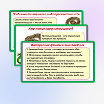 Презентация «Мир животных: земноводные и пресмыкающиеся. Особенности внешнего вида, условия жизни, передвижения, питания: узнавание, называние, описание». 2 класс