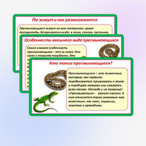 Презентация «Мир животных: земноводные и пресмыкающиеся. Особенности внешнего вида, условия жизни, передвижения, питания: узнавание, называние, описание». 2 класс