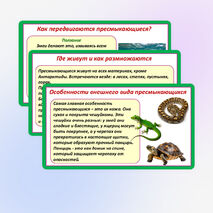 Презентация «Мир животных: земноводные и пресмыкающиеся. Особенности внешнего вида, условия жизни, передвижения, питания: узнавание, называние, описание». 2 класс