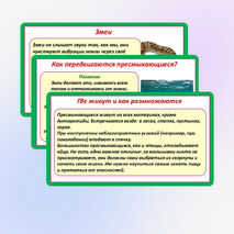 Презентация «Мир животных: земноводные и пресмыкающиеся. Особенности внешнего вида, условия жизни, передвижения, питания: узнавание, называние, описание». 2 класс