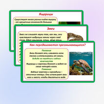 Презентация «Мир животных: земноводные и пресмыкающиеся. Особенности внешнего вида, условия жизни, передвижения, питания: узнавание, называние, описание». 2 класс