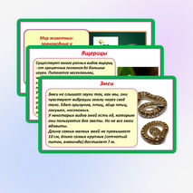 Презентация «Мир животных: земноводные и пресмыкающиеся. Особенности внешнего вида, условия жизни, передвижения, питания: узнавание, называние, описание». 2 класс