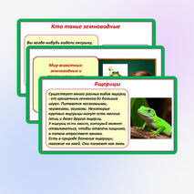 Презентация «Мир животных: земноводные и пресмыкающиеся. Особенности внешнего вида, условия жизни, передвижения, питания: узнавание, называние, описание». 2 класс