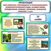 Презентация «Мир животных: земноводные и пресмыкающиеся. Особенности внешнего вида, условия жизни, передвижения, питания: узнавание, называние, описание». 2 класс