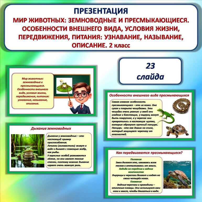 Презентация «Мир животных: земноводные и пресмыкающиеся. Особенности внешнего вида, условия жизни, передвижения, питания: узнавание, называние, описание». 2 класс