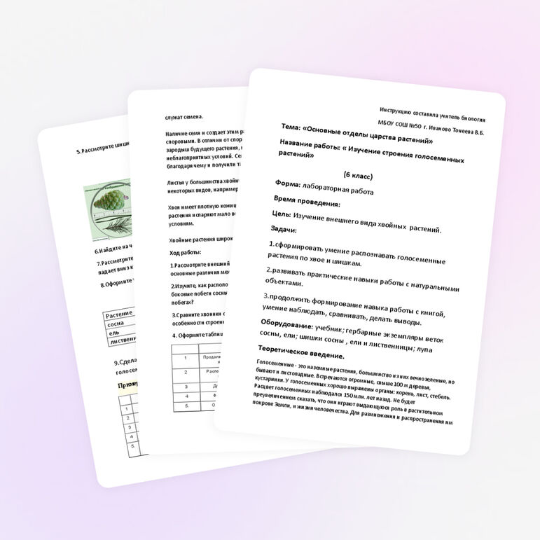Лабораторная работа на тему по биологии "Изучение строения голосеменных растений" (6 класс)